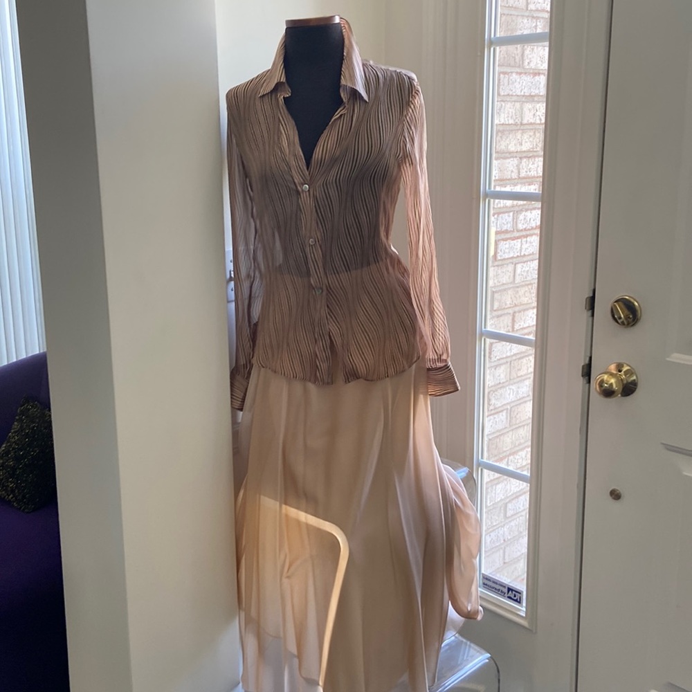 Theory Sheer Striped Button-Up Blouse in Blush Taupe